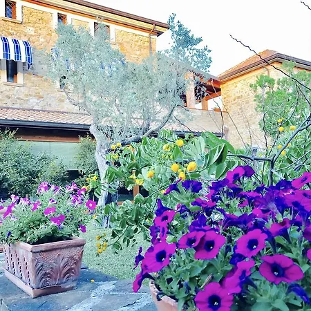 Casa Vacanze Il Cenito-2